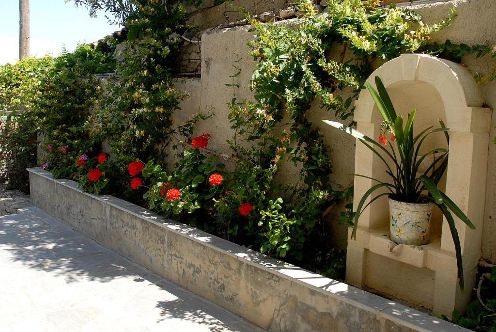 Bellevue Apartments Sitia (Crete) Exterior foto